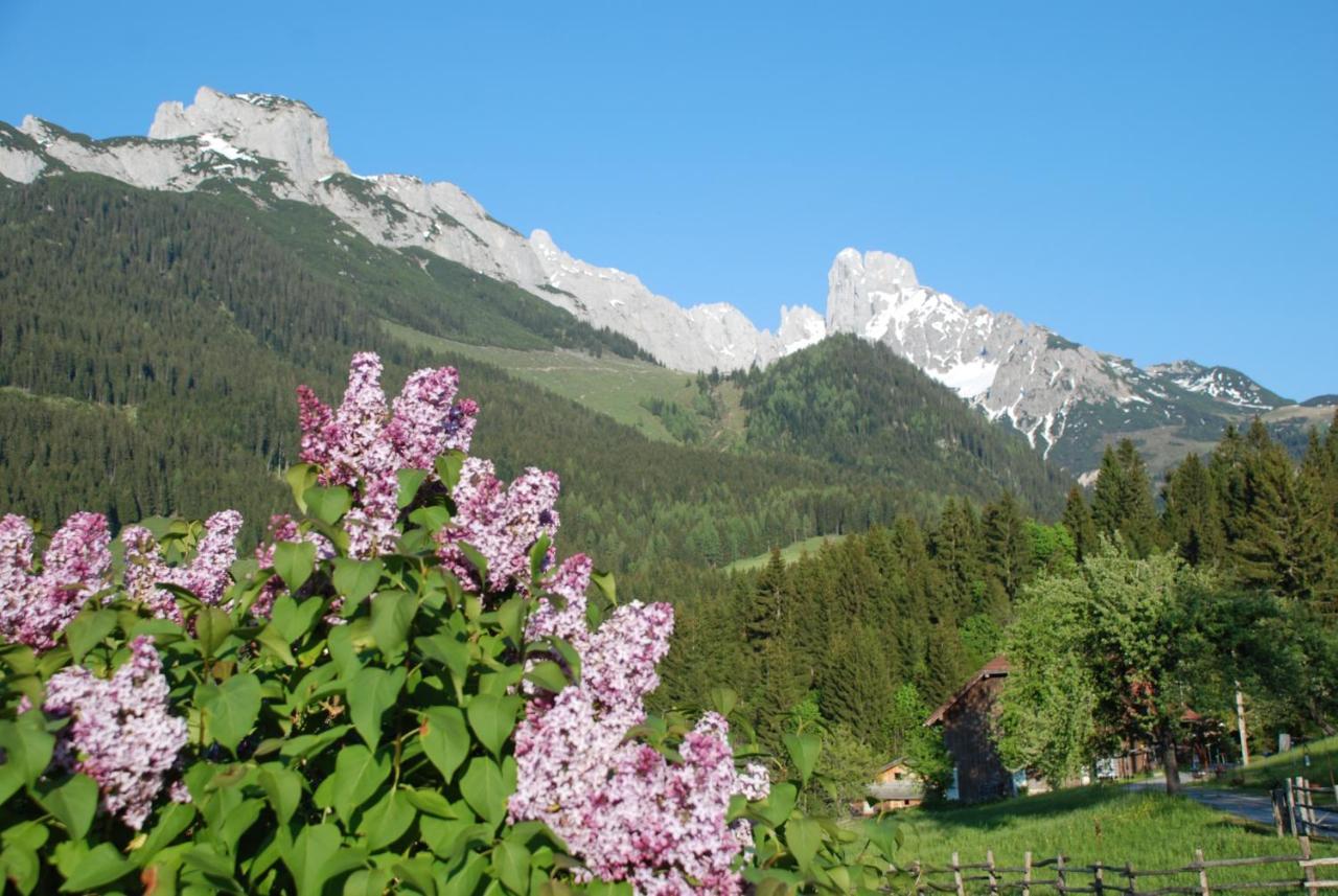 Appartement Alpenhaus Donnerkogel à Annaberg-Lungötz Extérieur photo